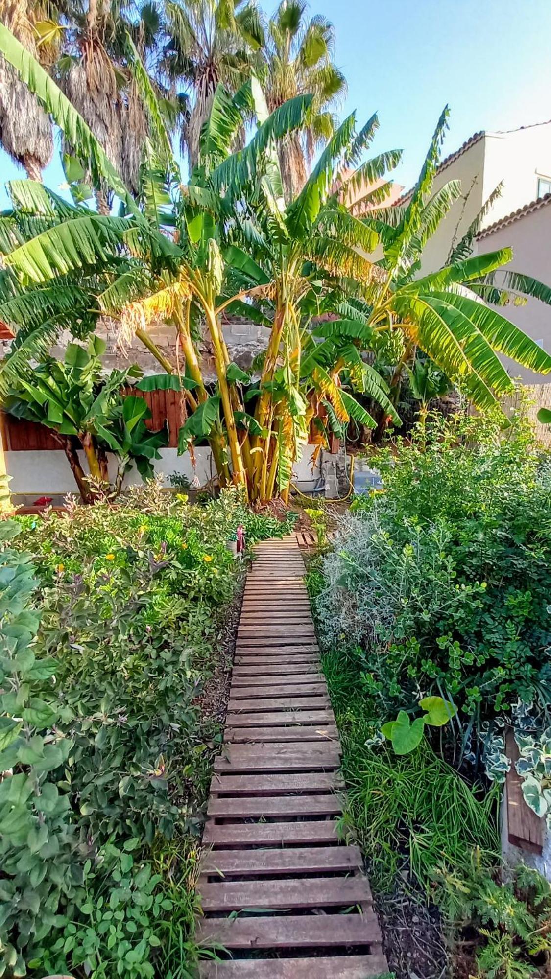 Finca Don Pedro 圣克鲁斯-德特内里费 外观 照片